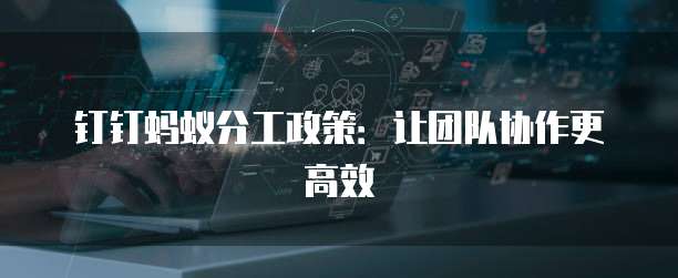 钉钉蚂蚁分工政策：让团队协作更高效