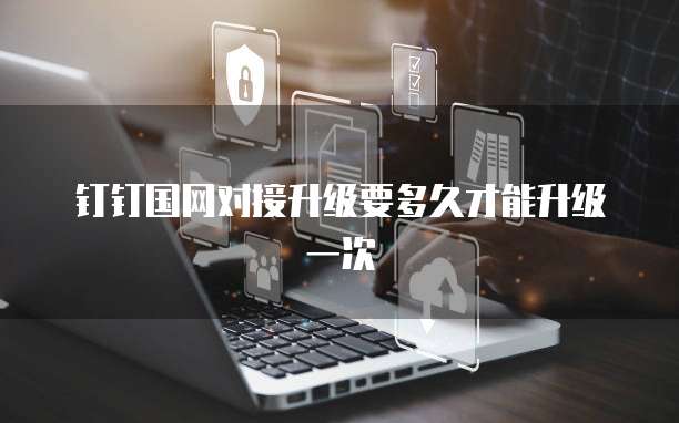 钉钉国网对接升级要多久才能升级一次