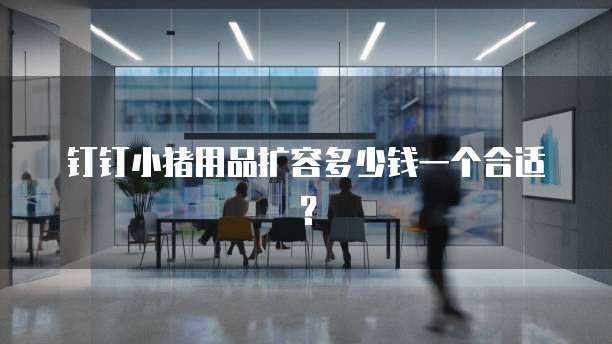 钉钉小猪用品扩容多少钱一个合适?