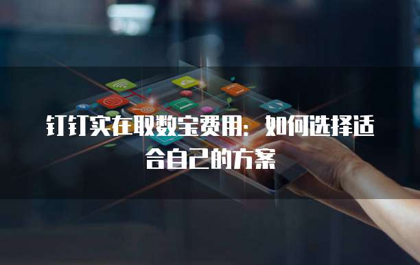 钉钉实在取数宝费用：如何选择适合自己的方案