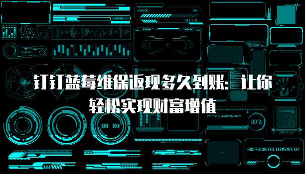 钉钉蓝莓维保返现多久到账:让你轻松实现财富增值