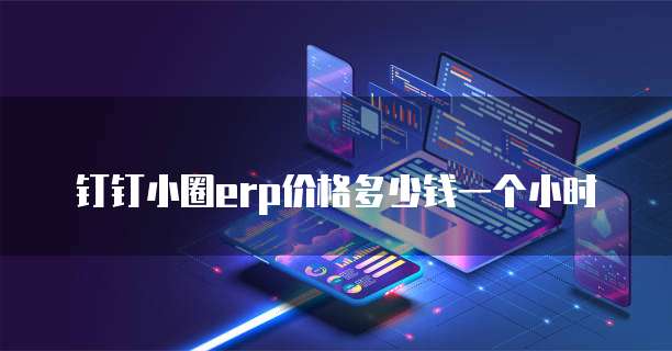 钉钉小圈erp价格多少钱一个小时