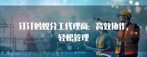 钉钉蚂蚁分工代理商:高效协作,轻松管理