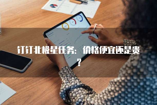 钉钉北极星任务:价格便宜还是贵?