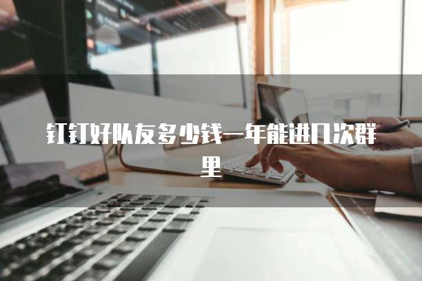 钉钉好队友多少钱一年能进几次群里