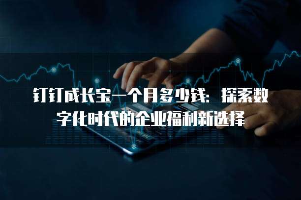 钉钉成长宝一个月多少钱:探索数字化时代的企业福利新选择