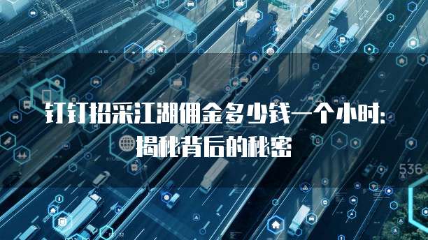 钉钉招采江湖佣金多少钱一个小时:揭秘背后的秘密