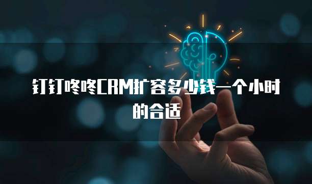 钉钉咚咚CRM扩容多少钱一个小时的合适