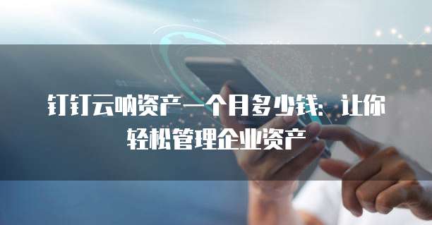 钉钉云呐资产一个月多少钱:让你轻松管理企业资产