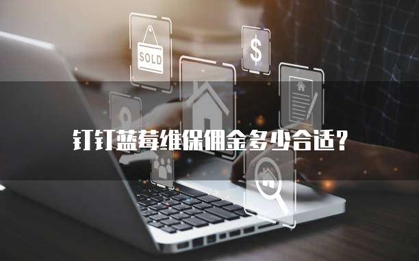 钉钉蓝莓维保佣金多少合适?