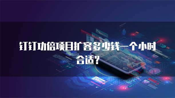 钉钉功倍项目扩容多少钱一个小时合适?
