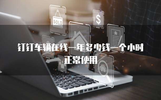 钉钉车辆在线一年多少钱一个小时正常使用