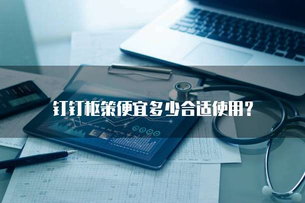 钉钉枢策便宜多少合适使用？