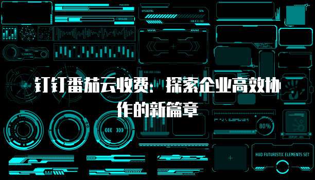 钉钉番茄云收费:探索企业高效协作的新篇章