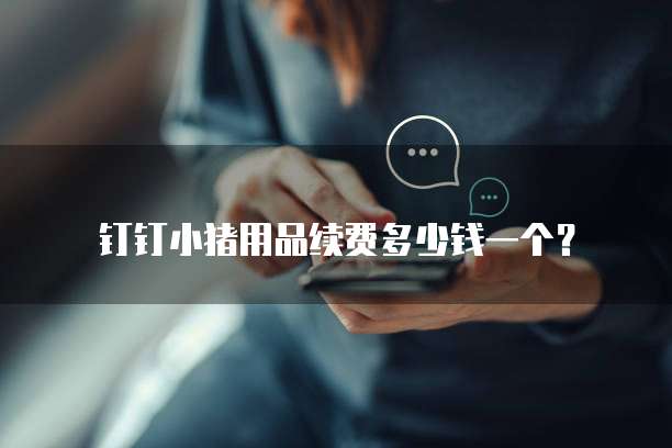 钉钉小猪用品续费多少钱一个？