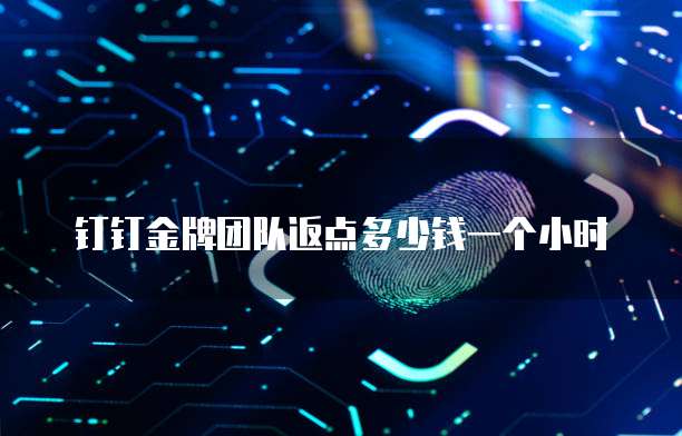 钉钉金牌团队返点多少钱一个小时