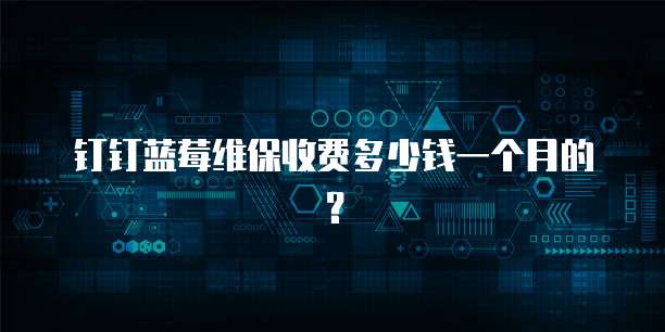 钉钉蓝莓维保收费多少钱一个月的?