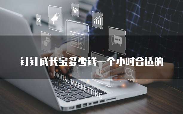 钉钉成长宝多少钱一个小时合适的