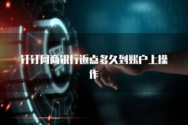 钉钉网商银行返点多久到账户上操作
