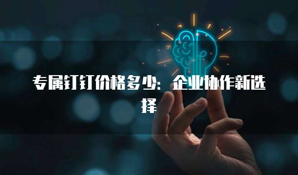 专属钉钉价格多少：企业协作新选择