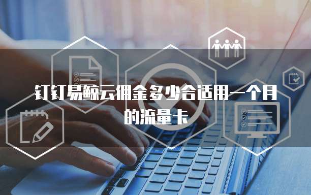 钉钉易鲸云佣金多少合适用一个月的流量卡