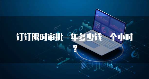 钉钉限时审批一年多少钱一个小时？