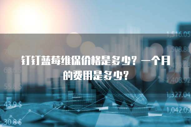 钉钉蓝莓维保价格是多少？一个月的费用是多少？