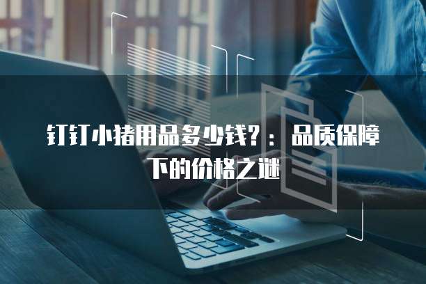 钉钉小猪用品多少钱?:品质保障下的价格之谜