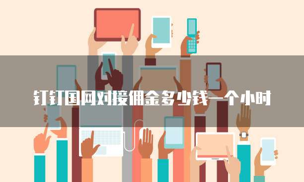 钉钉国网对接佣金多少钱一个小时