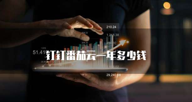 钉钉番茄云一年多少钱