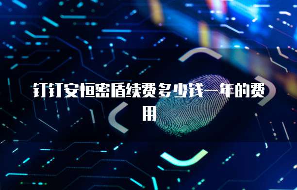 钉钉安恒密盾续费多少钱一年的费用
