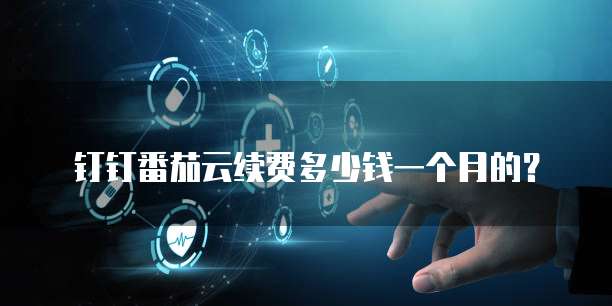 钉钉番茄云续费多少钱一个月的?