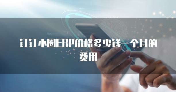 钉钉小圈erp价格多少钱一个月的费用