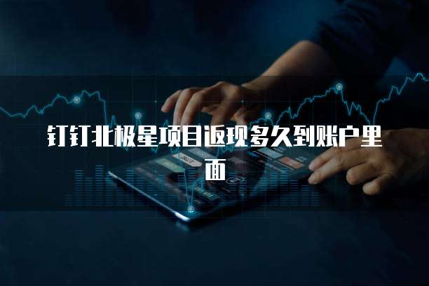 钉钉北极星项目返现多久到账户里面