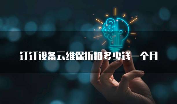 钉钉设备云维保折扣多少钱一个月