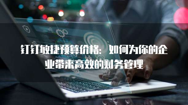 钉钉敏捷预算价格:如何为你的企业带来高效的财务管理