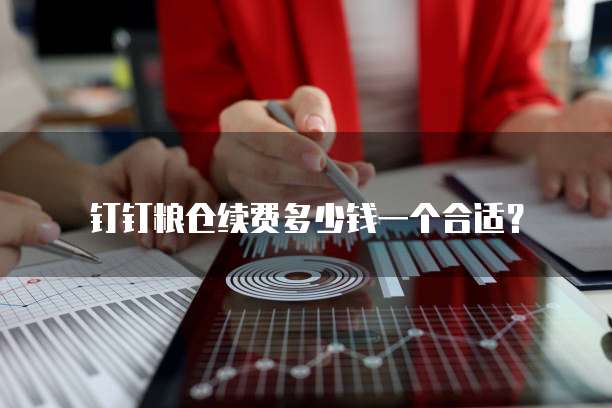 钉钉粮仓续费多少钱一个合适？