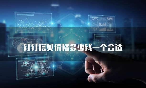 钉钉搭贝价格多少钱一个合适
