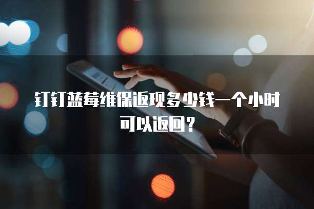钉钉蓝莓维保返现多少钱一个小时可以返回？