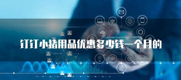钉钉小猪用品优惠多少钱一个月的
