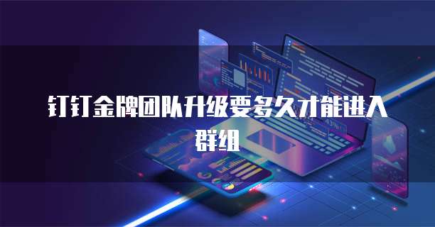 钉钉金牌团队升级要多久才能进入群组