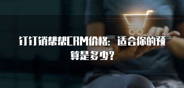 钉钉销帮帮CRM价格：适合你的预算是多少？