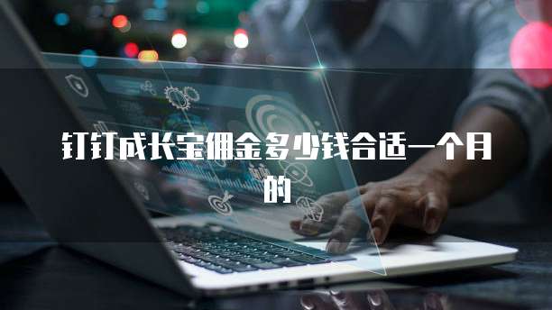 钉钉成长宝佣金多少钱合适一个月的