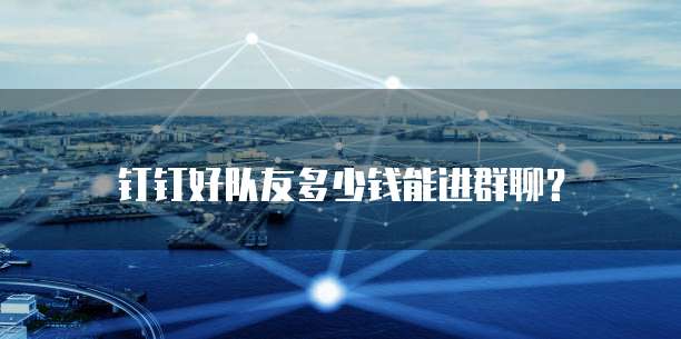 钉钉好队友多少钱能进群聊?
