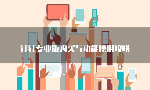钉钉专业版购买与功能使用攻略