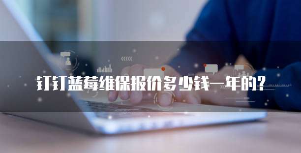 钉钉蓝莓维保报价多少钱一年的？