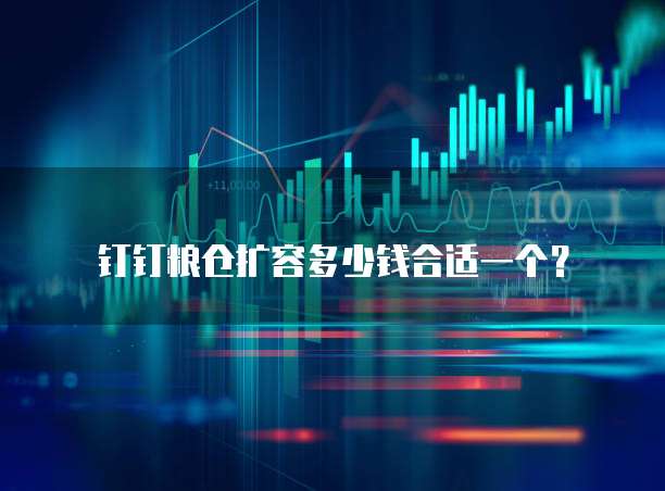 钉钉粮仓扩容多少钱合适一个？