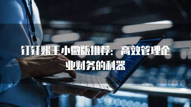 钉钉账王小微版推荐：高效管理企业财务的利器