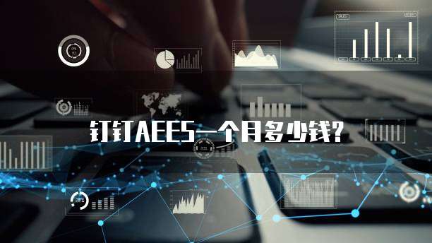 钉钉AEES一个月多少钱?