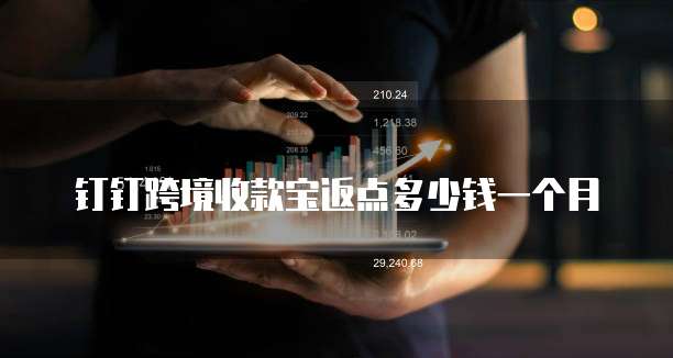 钉钉跨境收款宝返点多少钱一个月